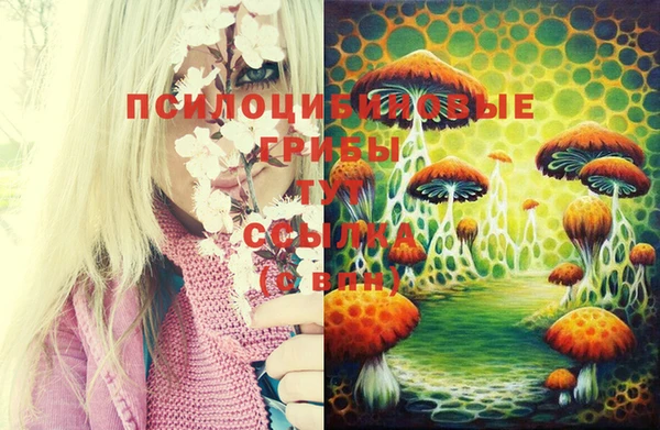jwh Верея