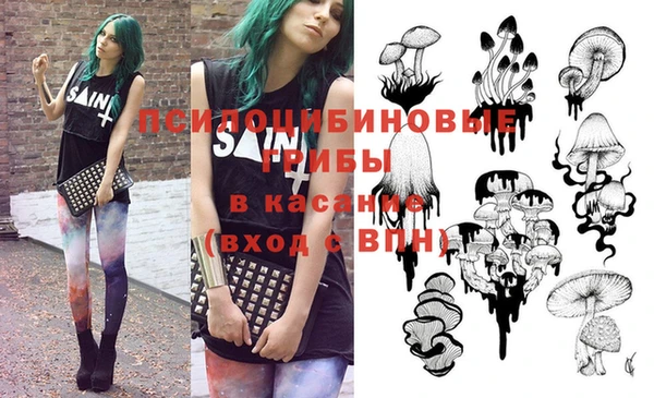 jwh Верея