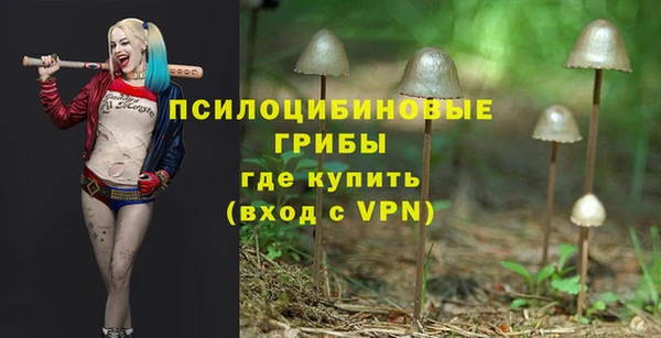 МДПВ Верхнеуральск